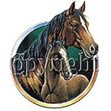 Horse And Colt Youth Sweatshirt