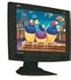 ViewSonic Pro Series 20" Flat-Panel LCD Monitor (Black)