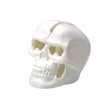 LED�L�����h��/�X�J�����C�g/�d�r��/�����^��/�Ɩ� �z���C�g �摜