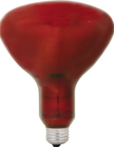 GE 37771 R40 Heat Red 250-Watt