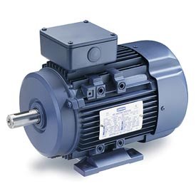 black Friday Leeson Metric Motor 7 5hp 460v 975rpmB003A4Q1Y2