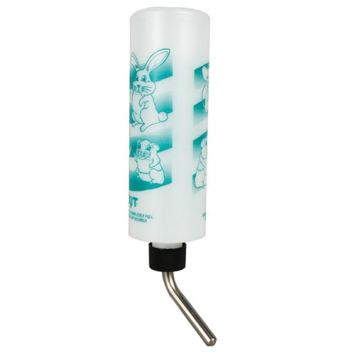 Lixit Water Bottle - 16 oz