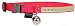 Premier Glo Kitty Collar, Hot Pink