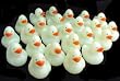 Two Dozen (24) Mini Glow-in-the Dark Rubber Duckys