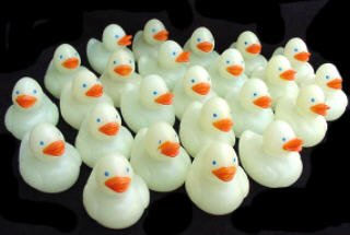 Childrens Toyshop  Toys : Two Dozen (24) Mini Glow-in-the Dark Rubber Ducks