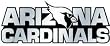 Arizona Cardinals Silver Auto Emblem - Football Sports Merchandise