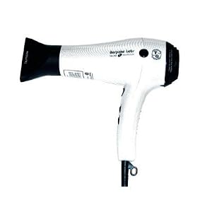T3 Bespoke Labs 73888 Evolution Professional Ionic Ceramic Tourmaline Hair Dryer. 73888 is the new model and replaces model 83888.