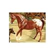 BREYER CLASSICS CHESTNUT APPALOOSA