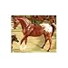 BREYER CLASSICS CHESTNUT APPALOOSA