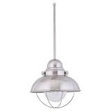 Sea Gull Lighting 6658-98 Single-Light Sebring Outdoor Pendant, Clear Seeded Glass and Brushed Stainless