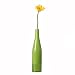 LEONARDO 36999 Flaschenvase 28 h.grün Spring