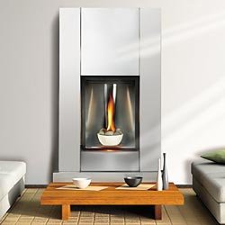 The Tureen Direct Vent Gas Stainless Steel Fireplace from Napoleon - GD82-T