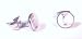 The Stainless Steel Jewellery Shop - 7mm Labrador Puppy Logo Studs (pair) - Includes a Velvet Jewellery Gift Pouch