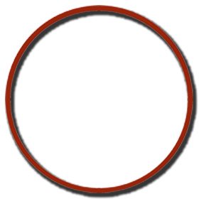 Outlet O-ring for ASM Mini G Protein Skimmer