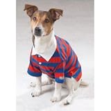 Casual Canine