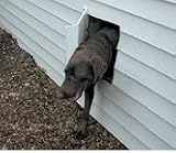 Next Door Replacement Hinges