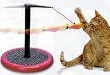 Flying Bird Cat Toy