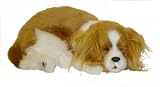 Life-like Curled Up Sleeping Red & White Spaniel Puppy Decoration