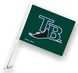 Tampa Bay Devil Rays Car Flag