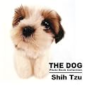 THE DOG Photo Book Collection Shih Tzu (THE DOG Photo Book Collection)