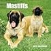 Mastiffs 2010 Wall Calendar