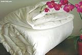 My Style 233tc 100% Cotton Solid White Duvet Cover