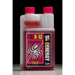 HIGH PERFORMANCE FITNESS, INC. 1ST STEP LIQ B-12 CHERRY 16OZ, 1.3