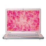 Sony VAIO VGN-CR405E/P 14.1-inch Laptop (2.1 GHz Intel Core 2 Duo T8100 Processor, 2 GB RAM, 200 GB Hard Drive, Vista Premium) Pink