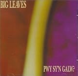 Pwy Sy`n Galw