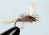 Parachute Hare's Ear Size: 14