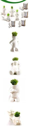 ZHUOTUO Household Adornment Potted Plants Ceramic Table Planting Sitting