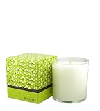 Fresh Green Apple Candle by BURN FRESH