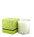 Fresh Green Apple Candle by BURN FRESH