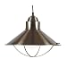 Kenroy Home 66349BS Harbor 16-Inch Pendant, Brushed Steel