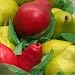 Pear Variety Pak