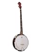 CSJ-10 Banjo, 5 String, Remo Head, Free Shipping