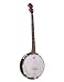 CSJ-10 Banjo, 5 String, Remo Head, Free Shipping