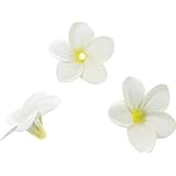 ���i�̏ڍ�