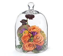 Elegant 10 Hand Blown Glass Dome For Covering Food Or Floral Displays Wonderful For Party Or Wedding