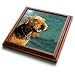 Dogs Airedale - Airedale Terrier - Trivets