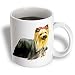 Dogs Yorkshire Terrier - Yorkshire Terrier - Mugs