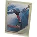 Sporting Goods : Ally Distribution Absinthe Futureproof Snowboard Movie