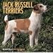 Book Jack Russell Terriers Calendar
