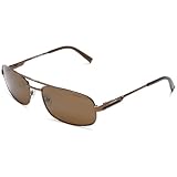 Carrera Roam Metal Sunglasses