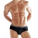 Standard Brief