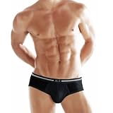 Standard Brief