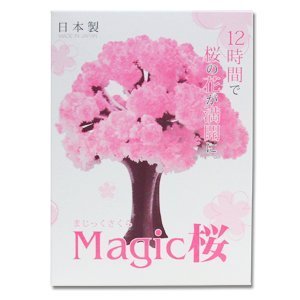 マジック桜 12時間で本物の桜の様にモコモコ育つマジック桜　日本製