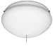 31WNlqFHhmL. SL75  School House Ceiling Fan Light Kit, 9 Polished Brass