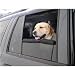 Outward Hound Auto Window Bumper