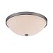 Capital Lighting 2 LIGHT CEILING FIXTURE